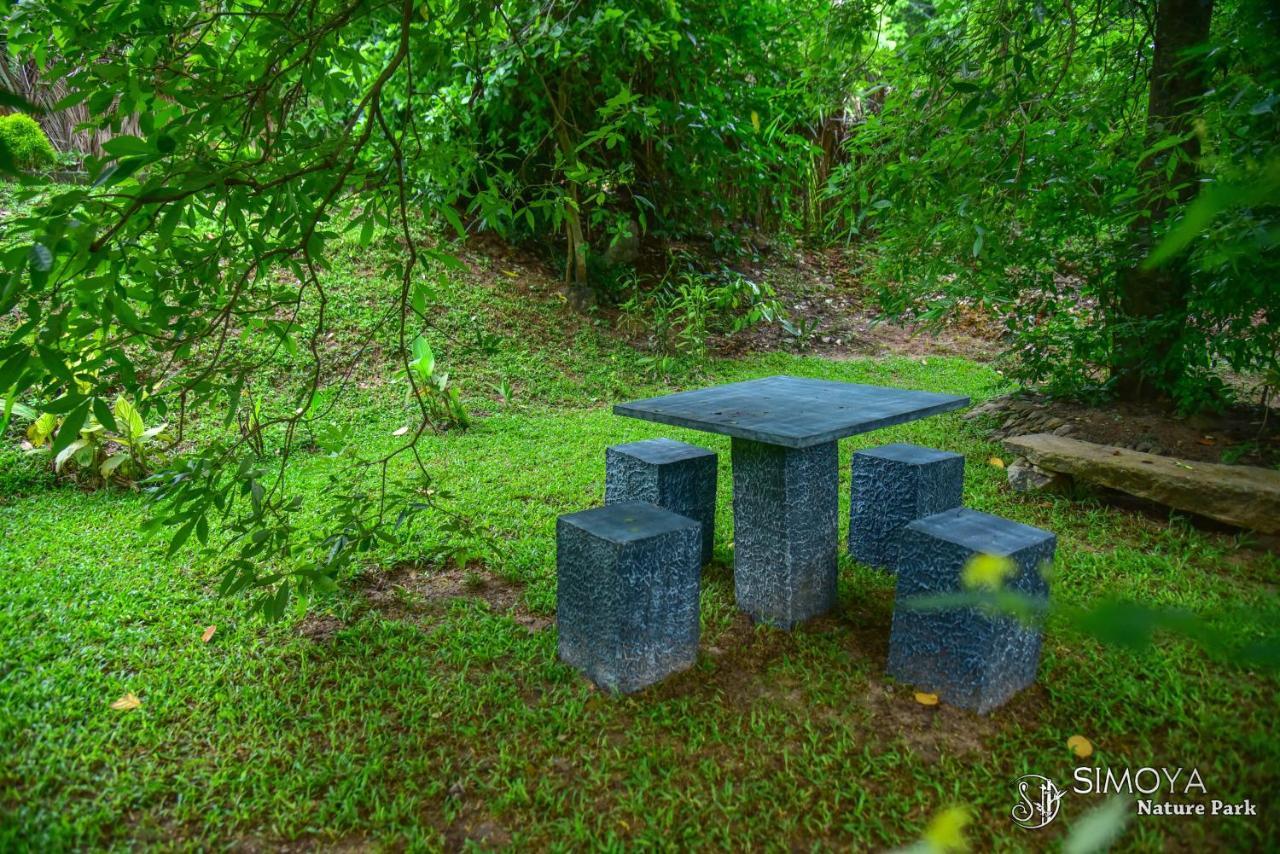 Simoya Nature Park Dambulla Eksteriør bilde